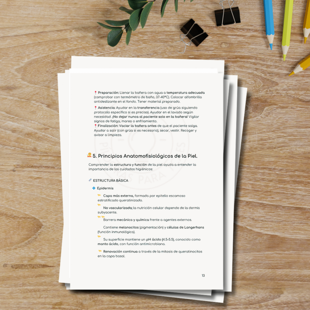 ejemplo paginas